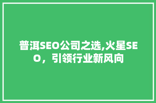 普洱SEO公司之选,火星SEO，引领行业新风向