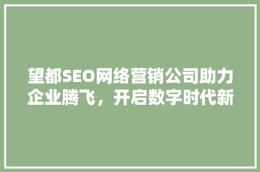 望都SEO网络营销公司助力企业腾飞，开启数字时代新篇章