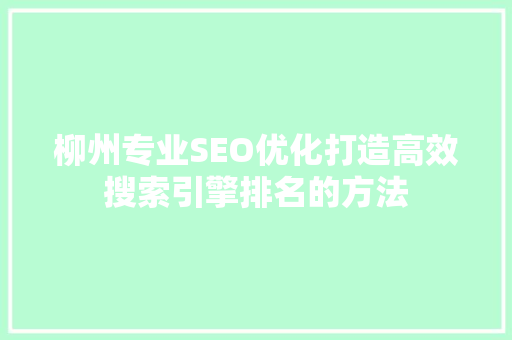 柳州专业SEO优化打造高效搜索引擎排名的方法