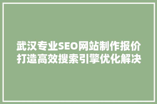 武汉专业SEO网站制作报价打造高效搜索引擎优化解决方法