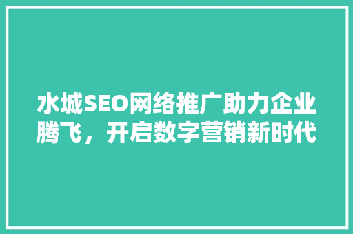水城SEO网络推广助力企业腾飞，开启数字营销新时代