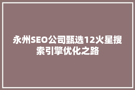 永州SEO公司甄选12火星搜索引擎优化之路