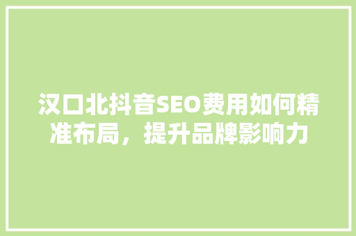 汉口北抖音SEO费用如何精准布局，提升品牌影响力