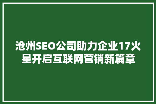 沧州SEO公司助力企业17火星开启互联网营销新篇章