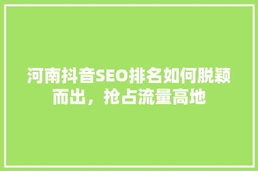 河南抖音SEO排名如何脱颖而出，抢占流量高地