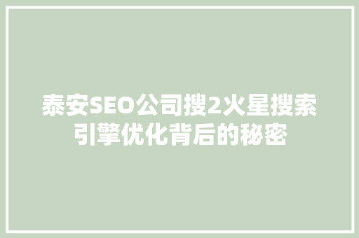 泰安SEO公司搜2火星搜索引擎优化背后的秘密