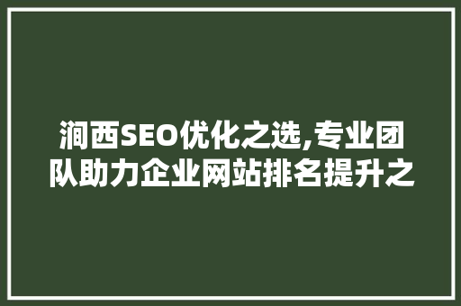 涧西SEO优化之选,专业团队助力企业网站排名提升之路