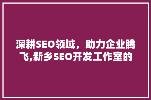 深耕SEO领域，助力企业腾飞,新乡SEO开发工作室的成功之路