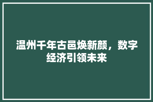温州千年古邑焕新颜，数字经济引领未来