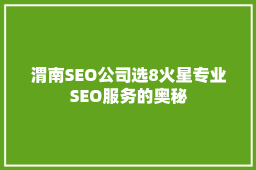 渭南SEO公司选8火星专业SEO服务的奥秘