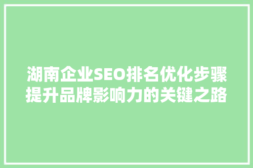 湖南企业SEO排名优化步骤提升品牌影响力的关键之路