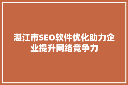 湛江市SEO软件优化助力企业提升网络竞争力