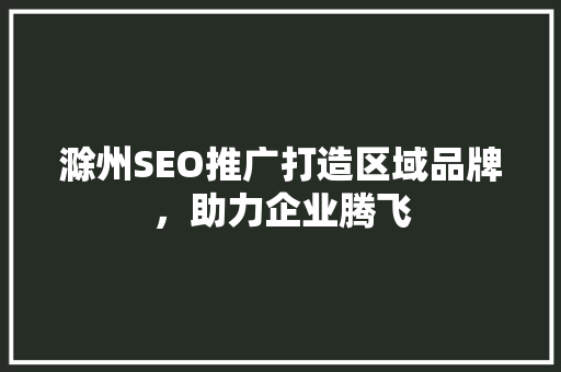滁州SEO推广打造区域品牌，助力企业腾飞