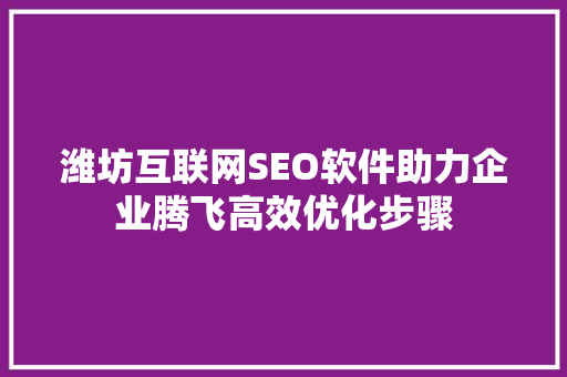 潍坊互联网SEO软件助力企业腾飞高效优化步骤