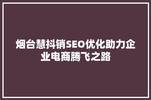烟台慧抖销SEO优化助力企业电商腾飞之路