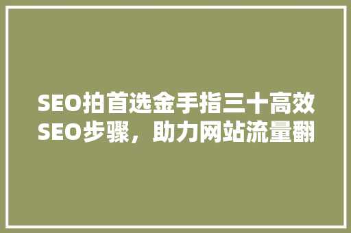 SEO拍首选金手指三十高效SEO步骤，助力网站流量翻倍
