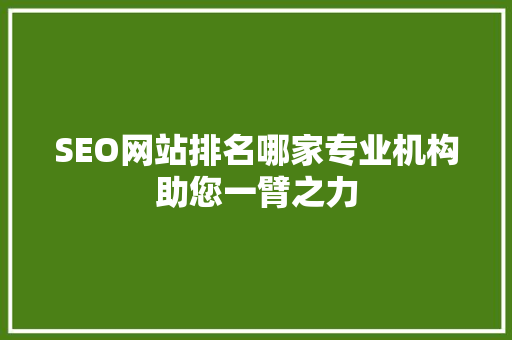 SEO网站排名哪家专业机构助您一臂之力