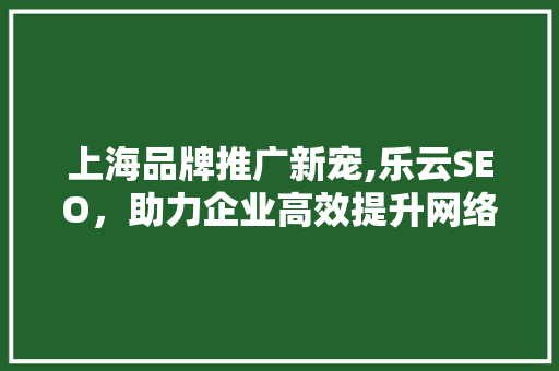 上海品牌推广新宠,乐云SEO，助力企业高效提升网络曝光度