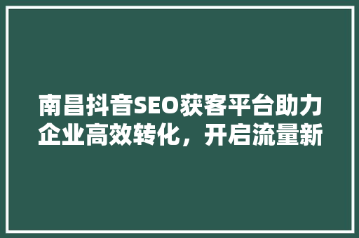 南昌抖音SEO获客平台助力企业高效转化，开启流量新纪元