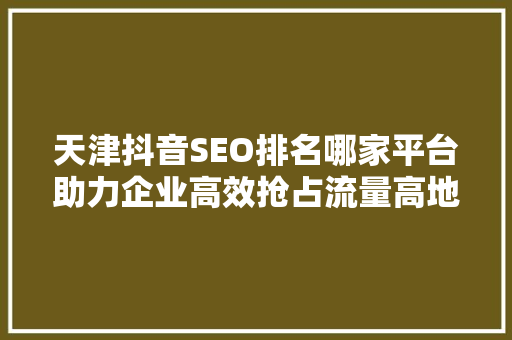天津抖音SEO排名哪家平台助力企业高效抢占流量高地