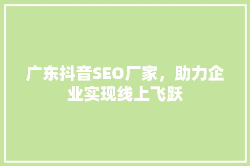 广东抖音SEO厂家，助力企业实现线上飞跃