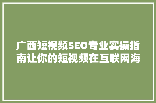广西短视频SEO专业实操指南让你的短视频在互联网海洋中脱颖而出