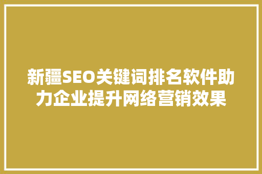 新疆SEO关键词排名软件助力企业提升网络营销效果