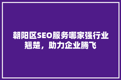 朝阳区SEO服务哪家强行业翘楚，助力企业腾飞