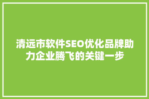 清远市软件SEO优化品牌助力企业腾飞的关键一步