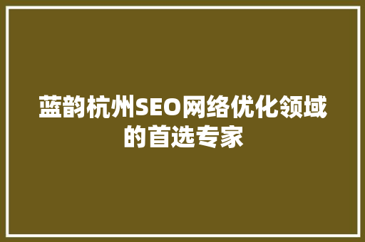 蓝韵杭州SEO网络优化领域的首选专家