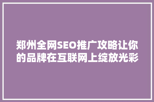 郑州全网SEO推广攻略让你的品牌在互联网上绽放光彩