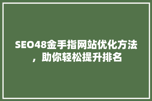 SEO48金手指网站优化方法，助你轻松提升排名