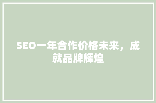 SEO一年合作价格未来，成就品牌辉煌