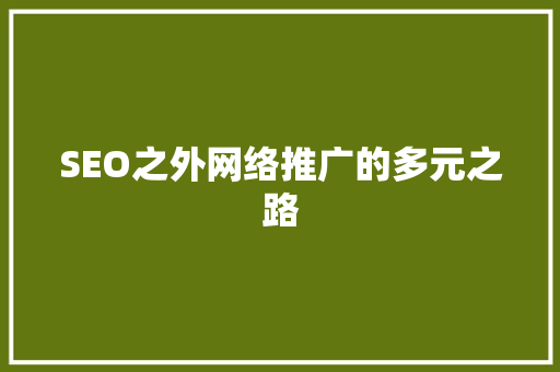 SEO之外网络推广的多元之路