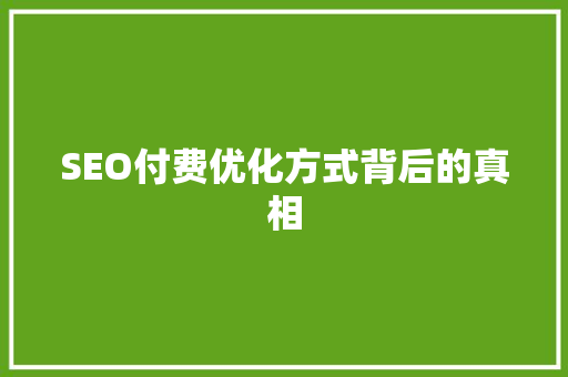 SEO付费优化方式背后的真相