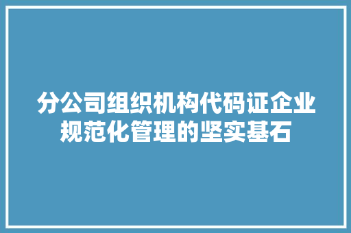 分公司组织机构代码证企业规范化管理的坚实基石