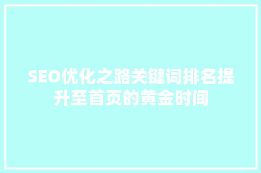 SEO优化之路关键词排名提升至首页的黄金时间