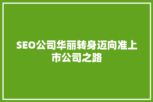 SEO公司华丽转身迈向准上市公司之路