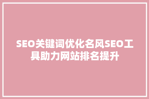 SEO关键词优化名风SEO工具助力网站排名提升