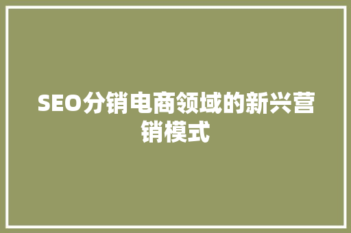 SEO分销电商领域的新兴营销模式