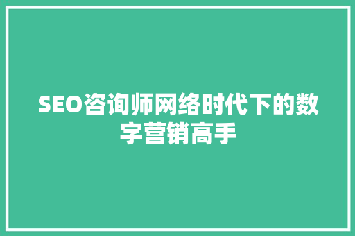 SEO咨询师网络时代下的数字营销高手