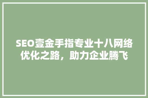 SEO壹金手指专业十八网络优化之路，助力企业腾飞