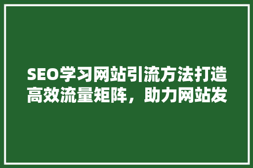 SEO学习网站引流方法打造高效流量矩阵，助力网站发展