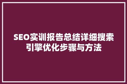 SEO实训报告总结详细搜索引擎优化步骤与方法