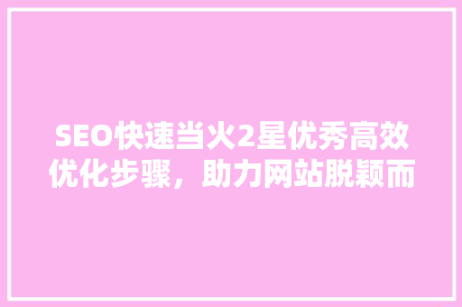 SEO快速当火2星优秀高效优化步骤，助力网站脱颖而出