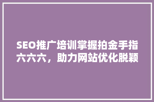 SEO推广培训掌握拍金手指六六六，助力网站优化脱颖而出