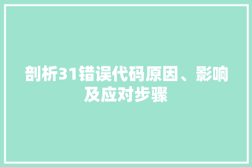 剖析31错误代码原因、影响及应对步骤