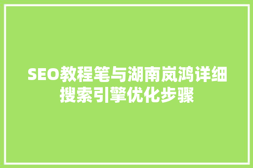 SEO教程笔与湖南岚鸿详细搜索引擎优化步骤