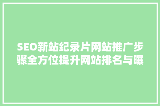 SEO新站纪录片网站推广步骤全方位提升网站排名与曝光度