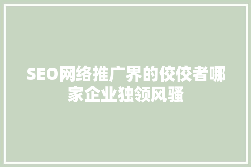 SEO网络推广界的佼佼者哪家企业独领风骚